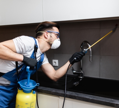 Chris Pest Control Glenroy Milestone